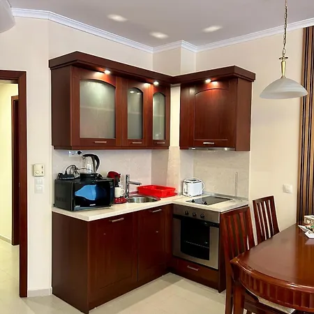 Bardarova Downtown Apartament *