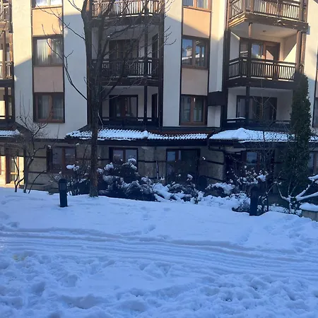 Bardarova Downtown *