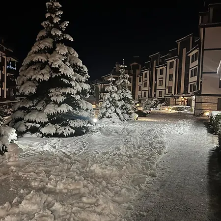Bardarova Downtown Apartment